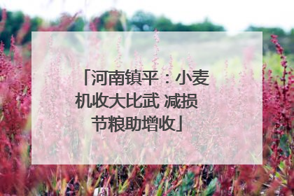 河南镇平：小麦机收大比武 减损节粮助增收